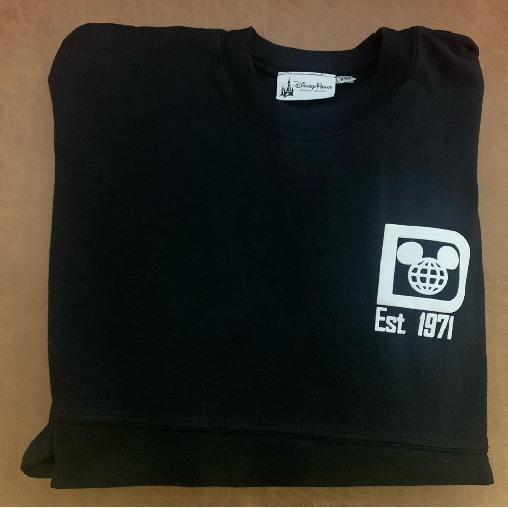 Disney Spirit Jersey